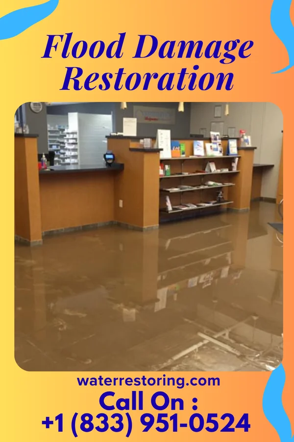 Flood Damage Restoration in Hawaiian Paradise Park, HI