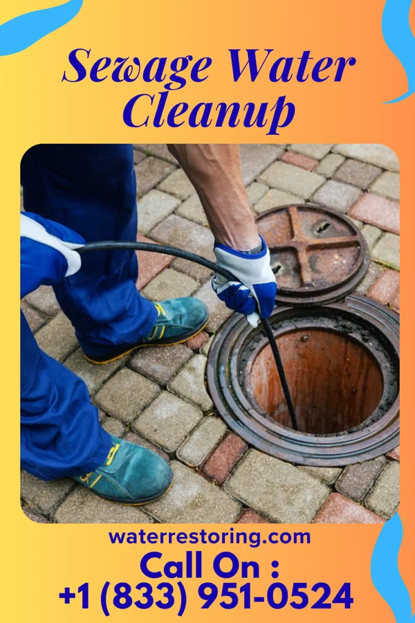 Sewage Water Cleanup in Hawaiian Paradise Park, HI