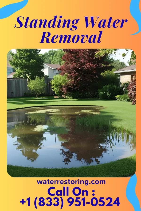 Standing Water Removal in Hawaiian Paradise Park, HI